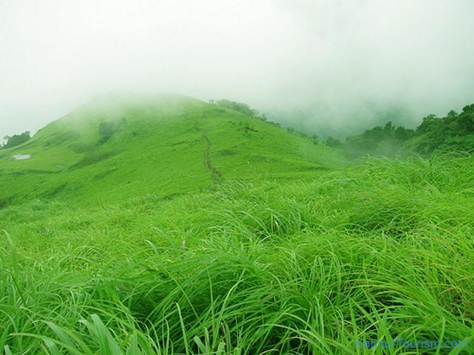 Paithal Resort Kannur ภายนอก รูปภาพ