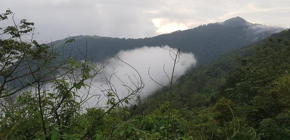 Paithal Resort Kannur ภายนอก รูปภาพ